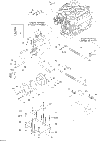 Electrical System
