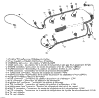 Engine Harness