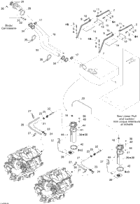Fuel System