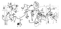Wire Harness