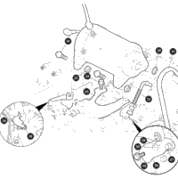 Starter / Generator