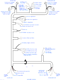 Electrical - Access Harness