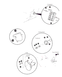 Electrical - 3