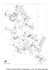 Pedal Assembly