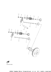 Camshaft & Valve