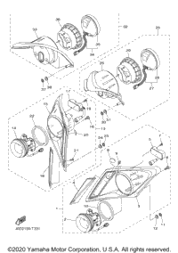 Head & Tail Light