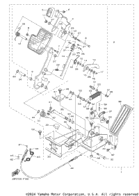 Pedal Assembly
