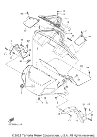 Body