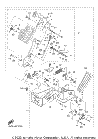 Pedal Assembly