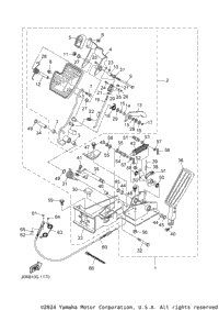 Pedal Assembly