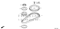 Timing Belt