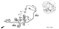 Wire Harness