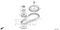 Timing Belt