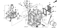 Cylinder Block@Crankcase Cover