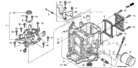 Cylinder Block@Crankcase Cover