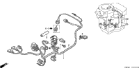 Wire Harness