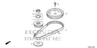 Timing Belt
