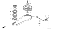 Timing Belt