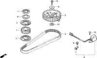 Timing Belt
