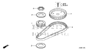Timing Belt