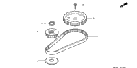 Timing Belt