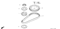 Timing Belt