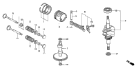 Piston + Rings