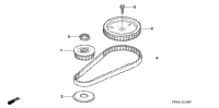 Timing Belt