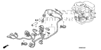 Wire Harness