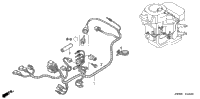 Wire Harness