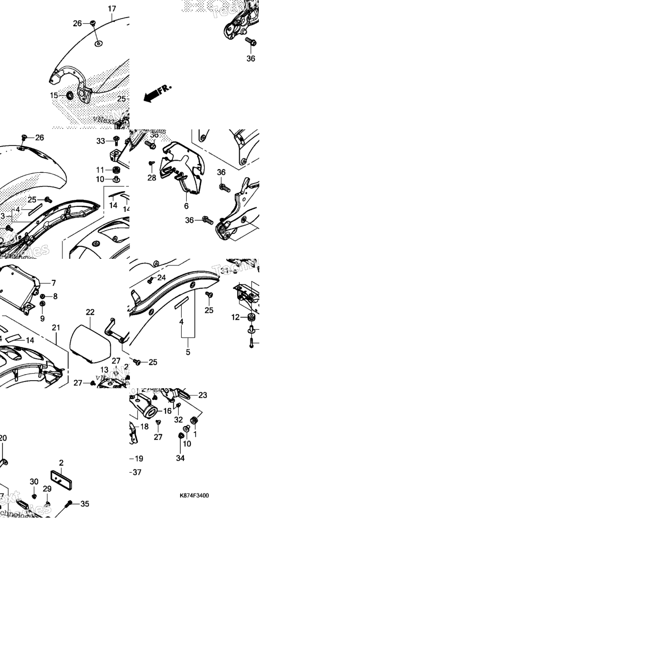 Rear Fender (1)