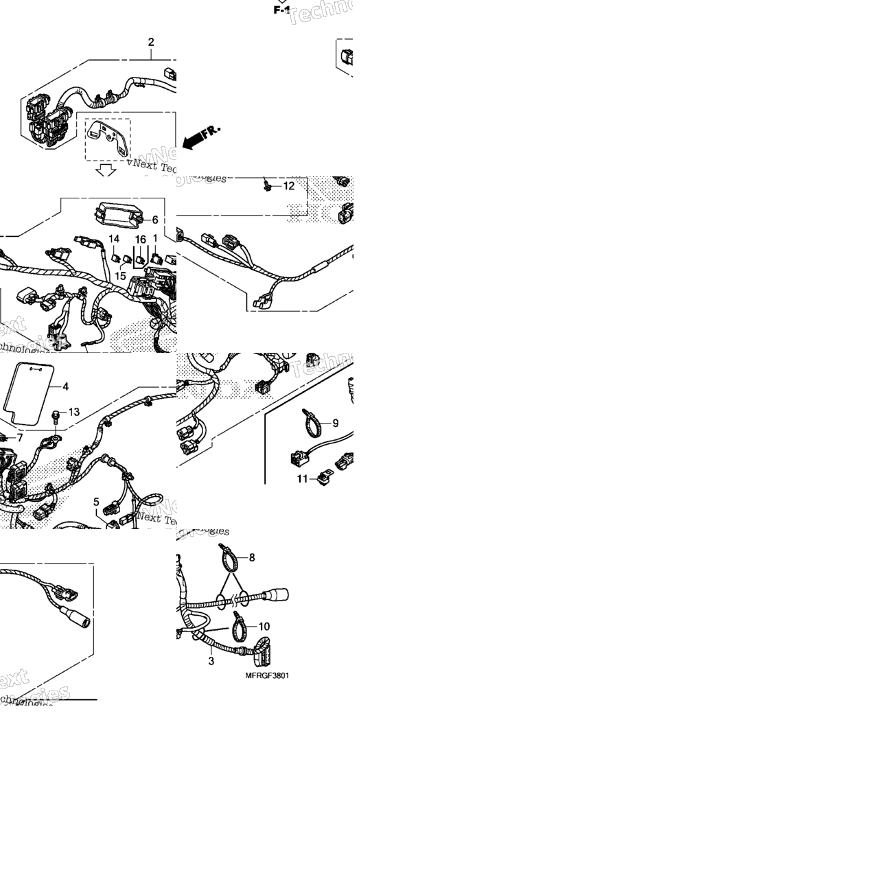 Wire Harness (2)