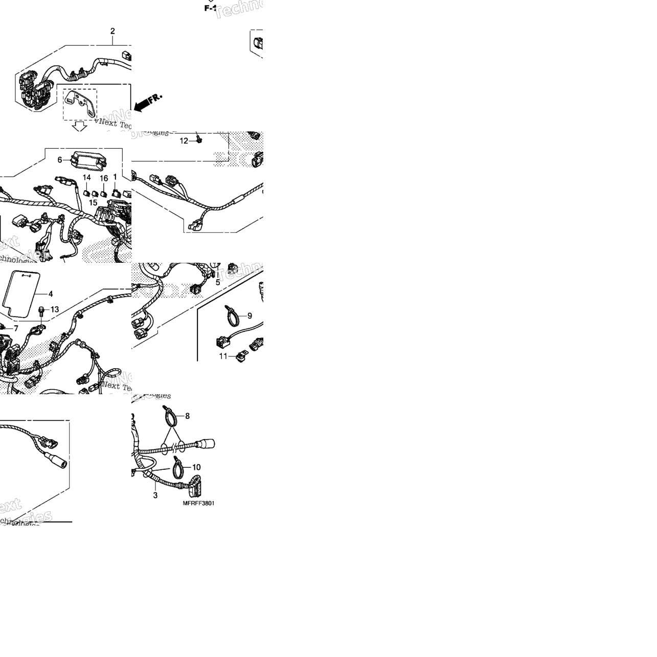 Wire Harness (2)