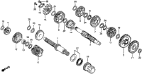 Transmission 81-82