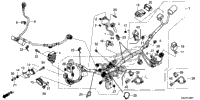 Wire Harness (2)