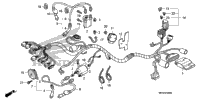 Wire Harness