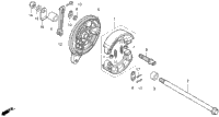 Rear Brake Panel