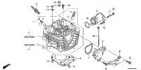 Cylinder Head (1)
