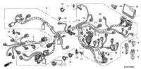 Wire Harness (St1300)