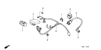 Wire Harness