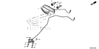 Taillight@License Light