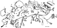 Wire Harness
