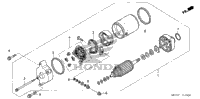 Starting Motor (1)