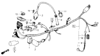 Wire Harness + Ignition Coil