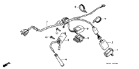 Wire Harness