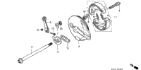 Rear Brake Panel