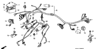 Wire Harness (1)