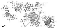 Cylinder Head (Fr.)