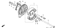 Rear Brake Panel