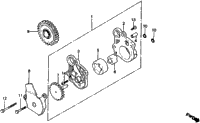 Oil Pump 81-82